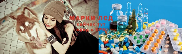 герыч Зеленокумск