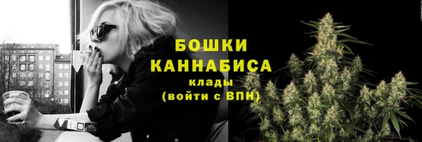 молекула духа Зеленодольск