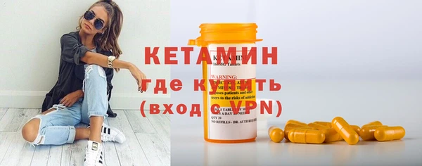 молекула духа Снежногорск