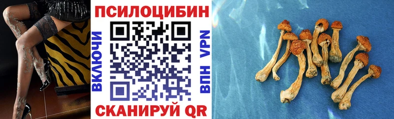 Купить  Кувшиново  Псилоцибиновые грибы прущие грибы 