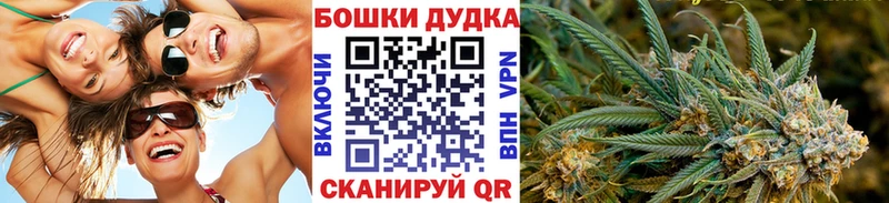 Бошки Шишки план  Купить где  Кувшиново 